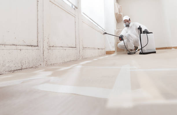 24/7 Emergency Bathroom Mold Removal experts in Jacksonville, TX