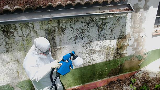 Top rated local Bathroom Mold Removal specialists in Jacksonville, TX